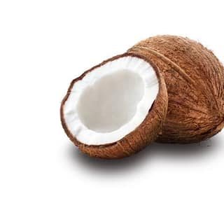 Coconut